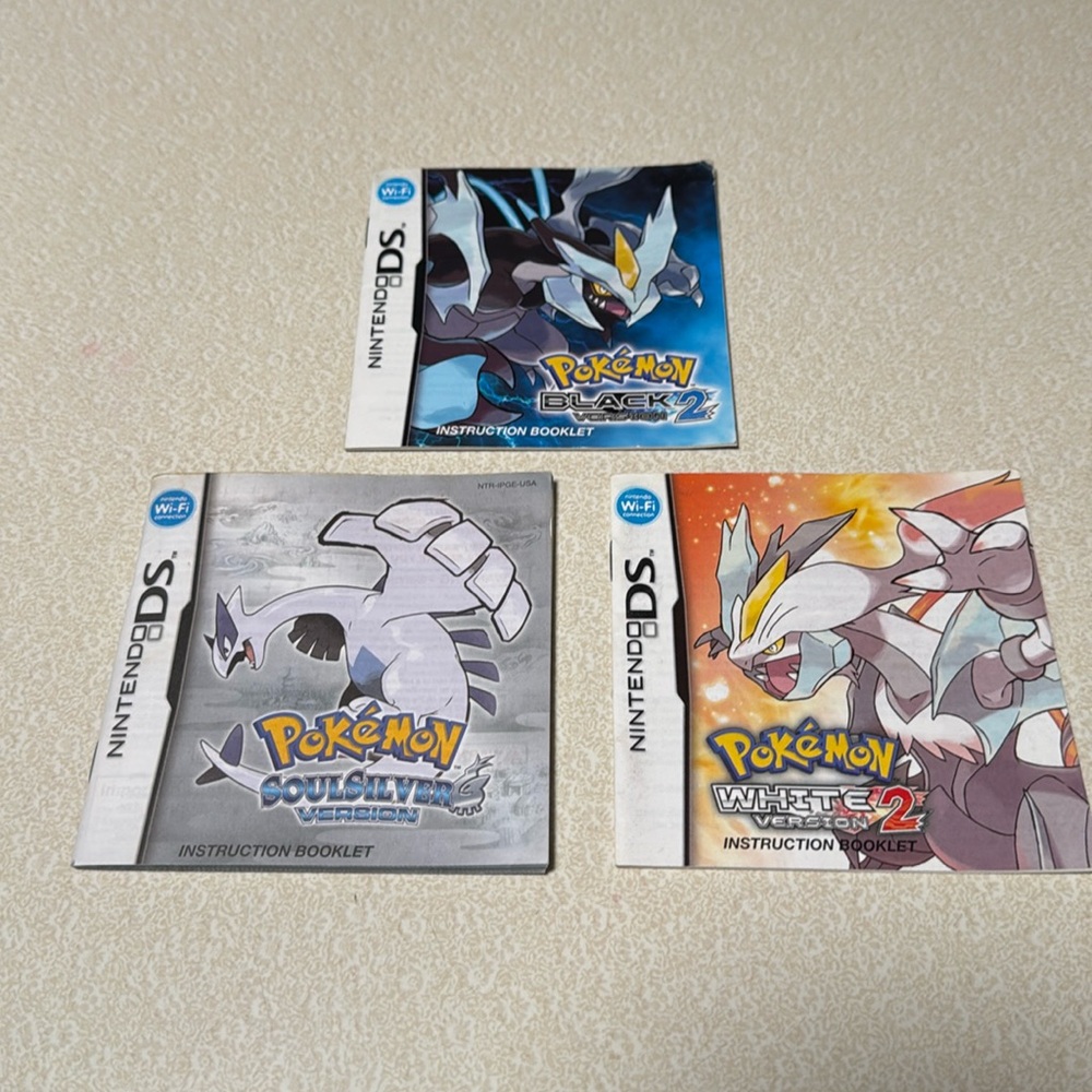 DS Pokemon instructions